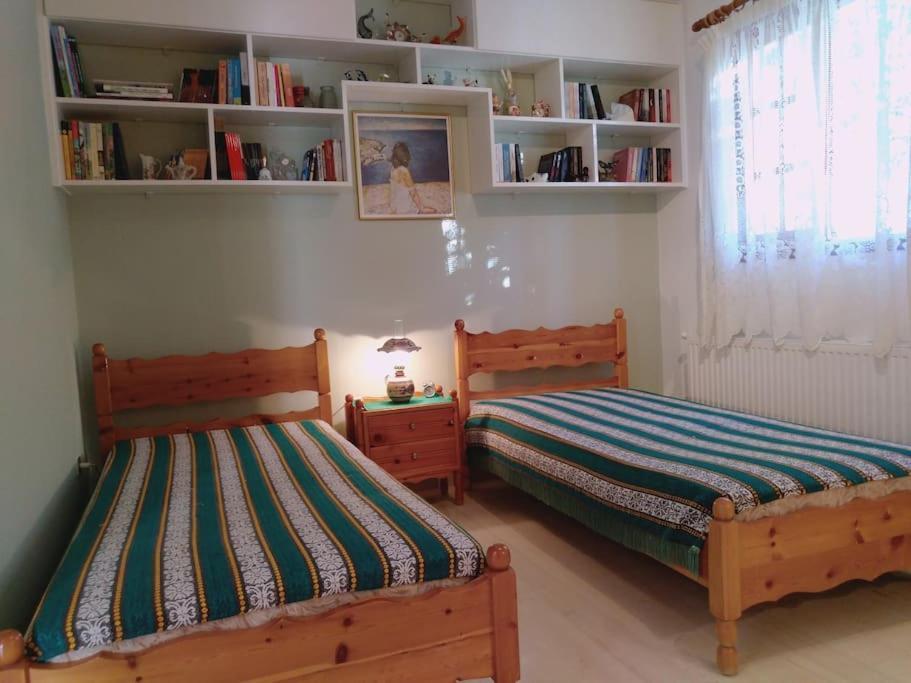 Explore Aegina Island Сувала Экстерьер фото