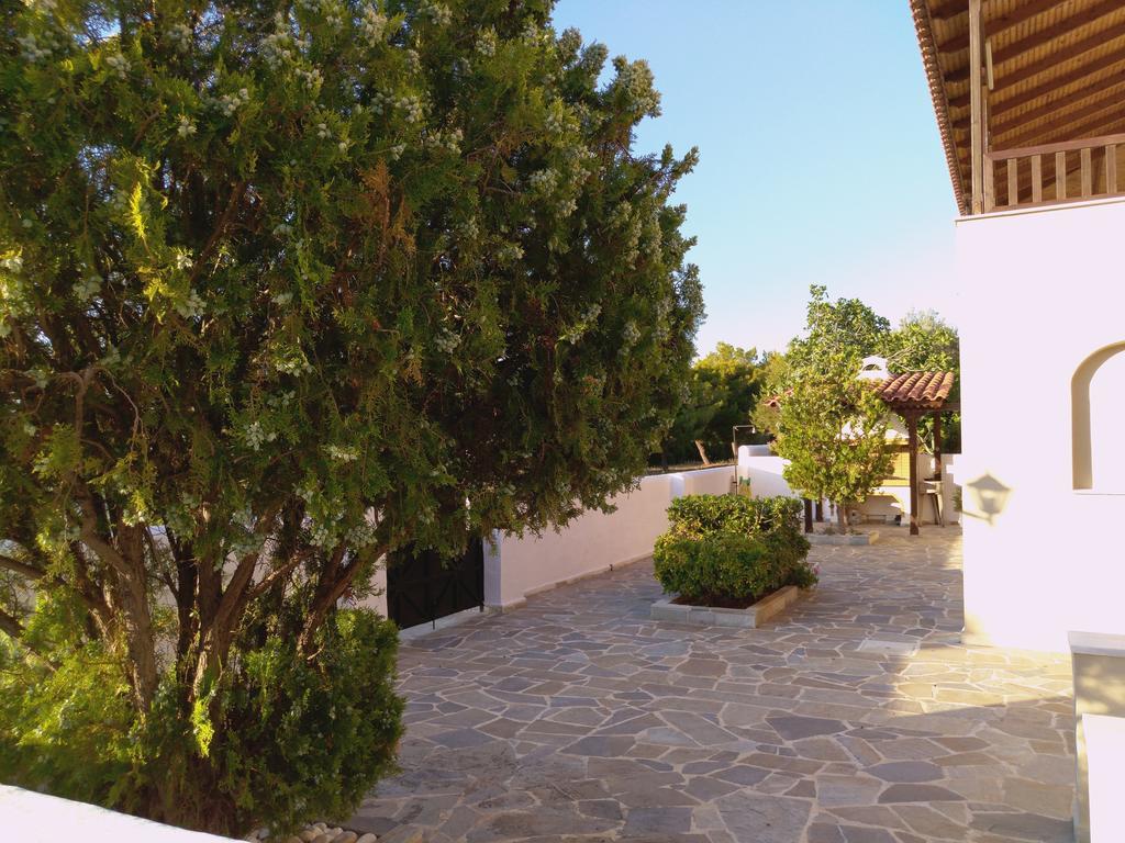 Explore Aegina Island Сувала Экстерьер фото